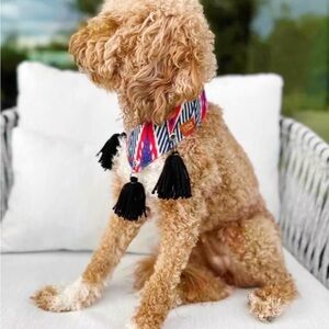 Homemade Stylish Red and Blue Dog Bandana with Tassels